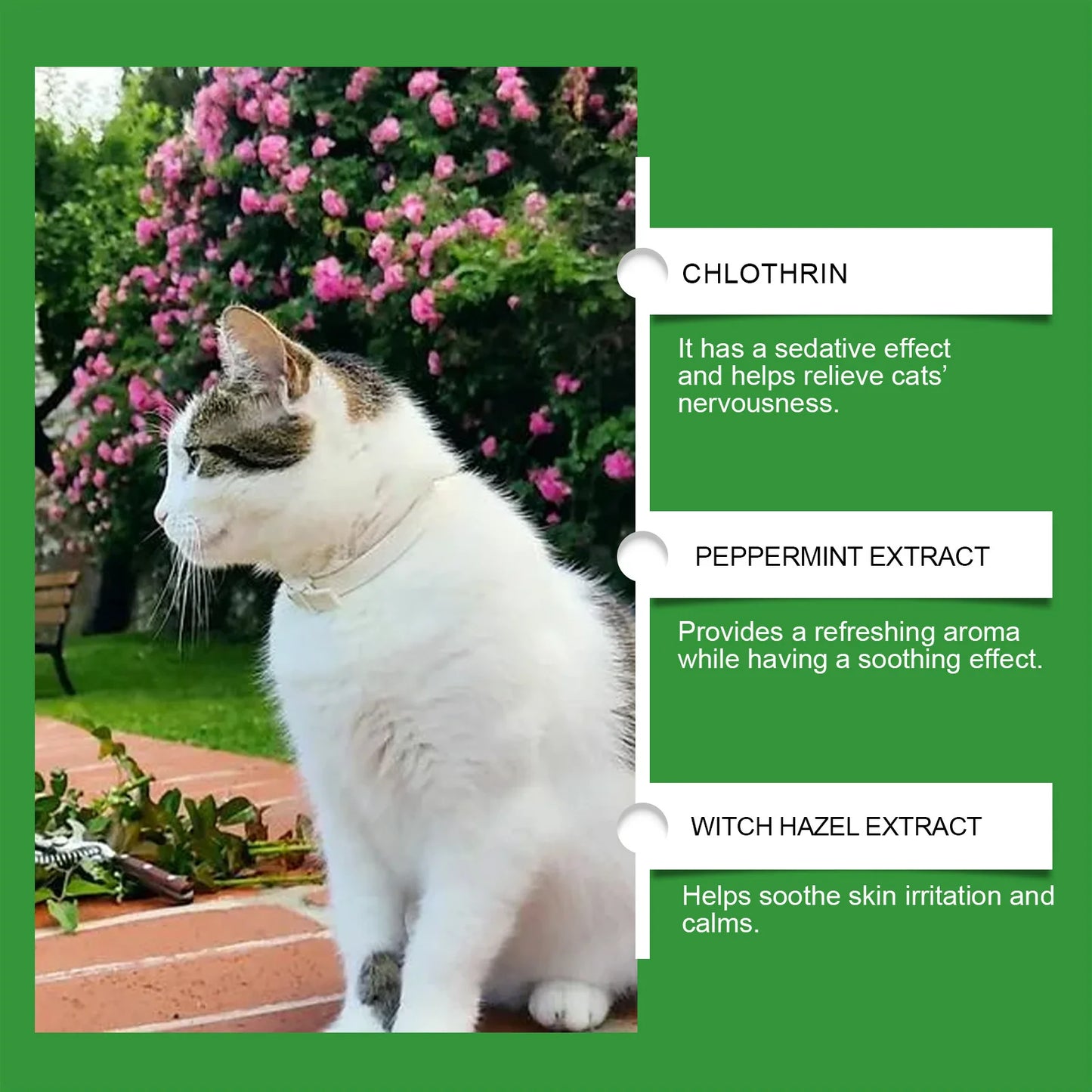 Cat Calming Pheromone Diffuser 🐱🌿