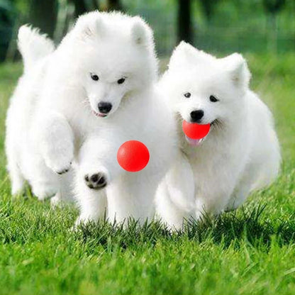 Indestructible Solid Rubber Ball Pet Dog Toy Training Chew Play Fetch Bite Toys Dog supplies Puppy Dog Toys for Large Dogs