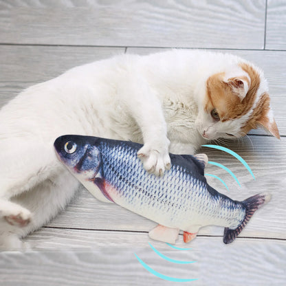 Electric Fish Cat Toy.