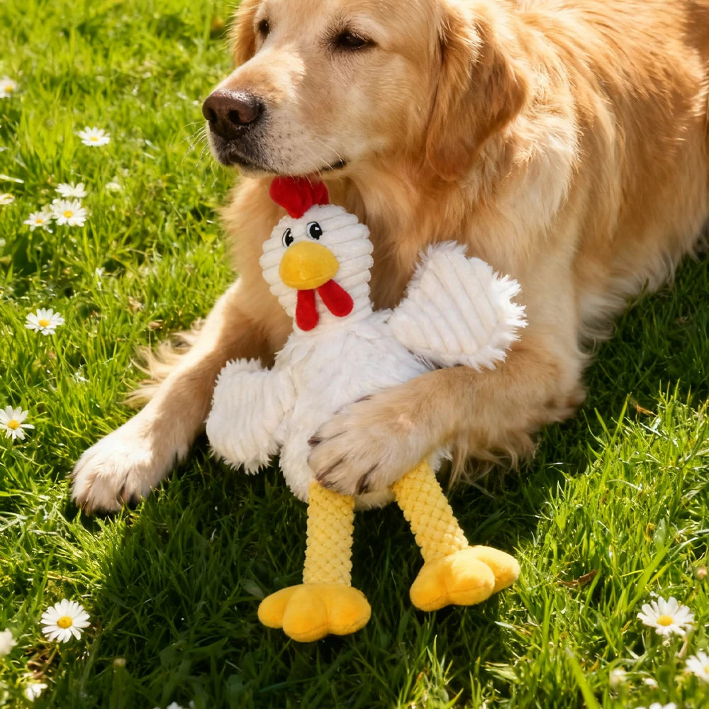 Pet Bite-Resistant Plush Interactive Toy with Sound, Cartoon Rooster Design, Suitable for Large, Medium, and Small Pets Such as Cats and Dogs, Double-Layer Fabric, Built-In Airbag