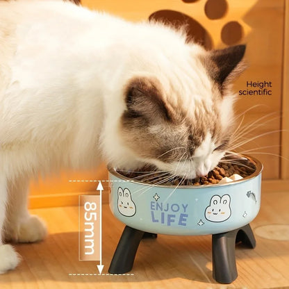 Stainless Steel Non-Slip Pet Bowl with Cute Pattern - Elevated, Spill-Proof Design for Small Dogs&Cats Neck Care Tall Cat Bowl