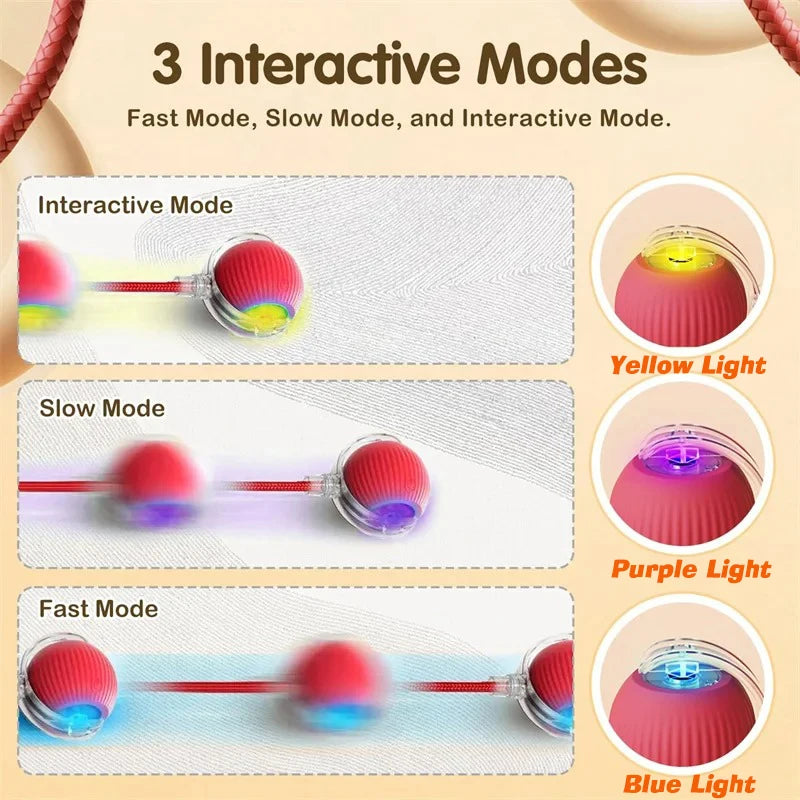 Pet Smart Interactive Ball Rechargeable Cat Ball Smart Kitten Dog Interaction Toy Intelligent Toy Ball Automatic Rolling Cat Toy