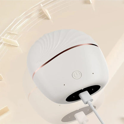 Portable Hair Straightener.