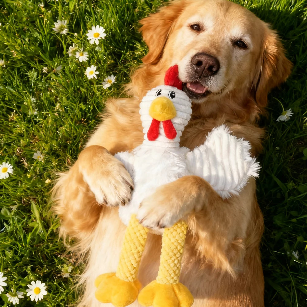 Pet Bite-Resistant Plush Interactive Toy with Sound, Cartoon Rooster Design, Suitable for Large, Medium, and Small Pets Such as Cats and Dogs, Double-Layer Fabric, Built-In Airbag