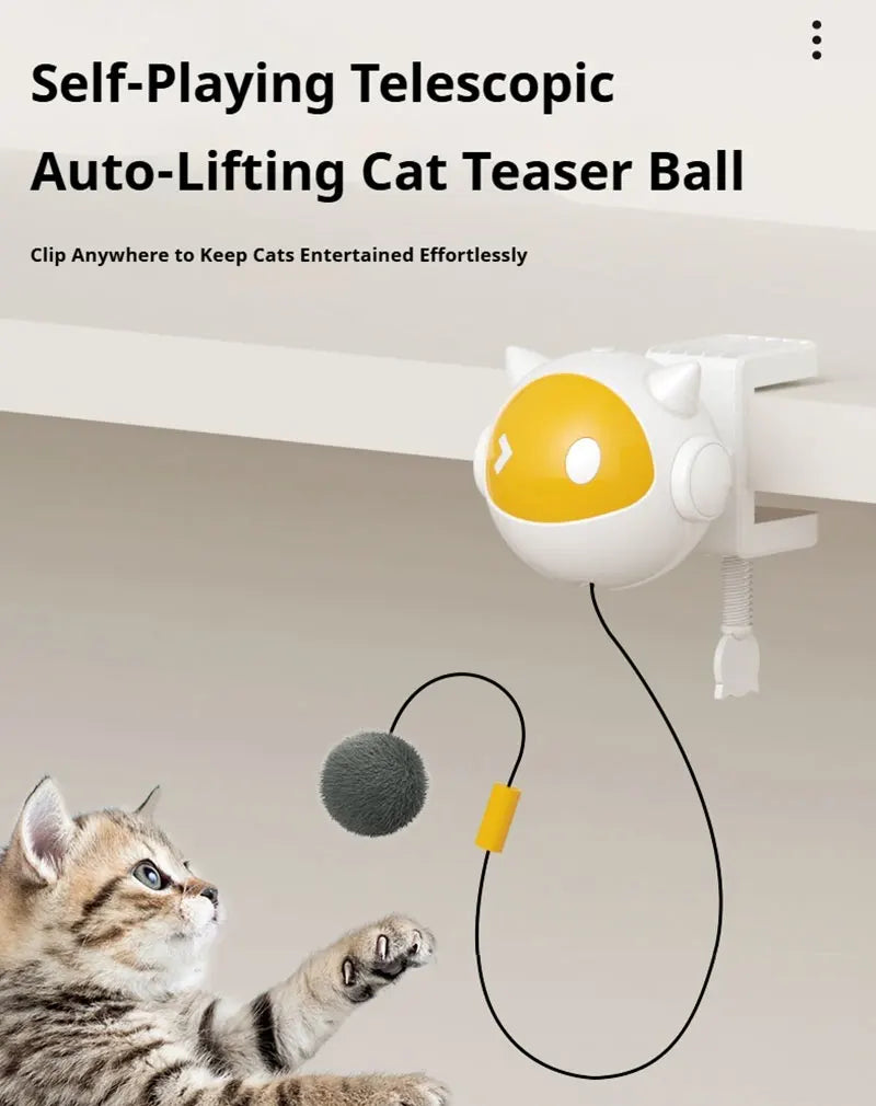 Electric Cat Ball Toy.
