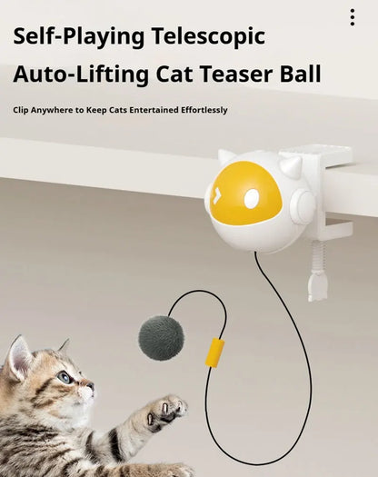 Electric Cat Ball Toy.