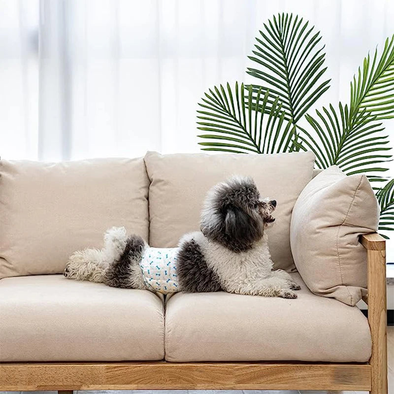 Disposable Dog Diapers 10-Pack 🐶