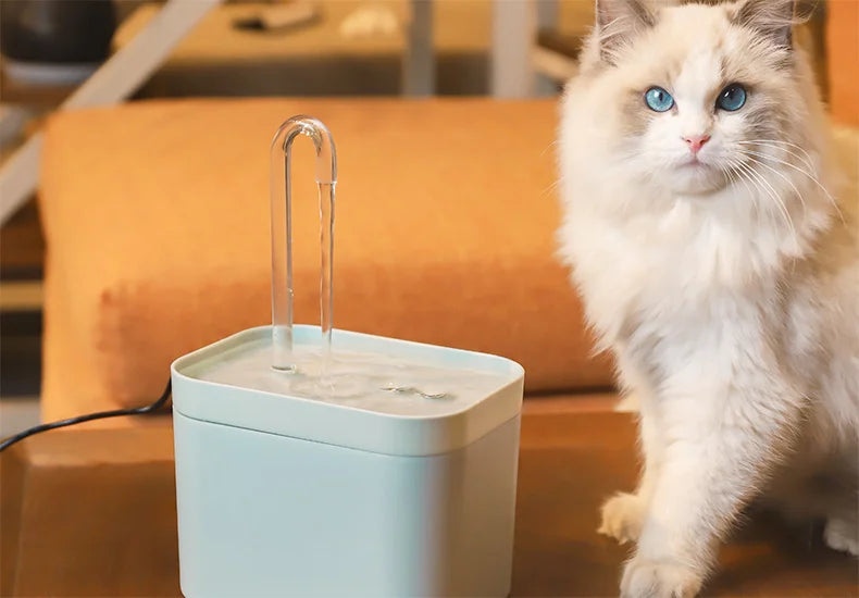 Automatic Quiet Cat Water Fountain 1.5L 🐱💧