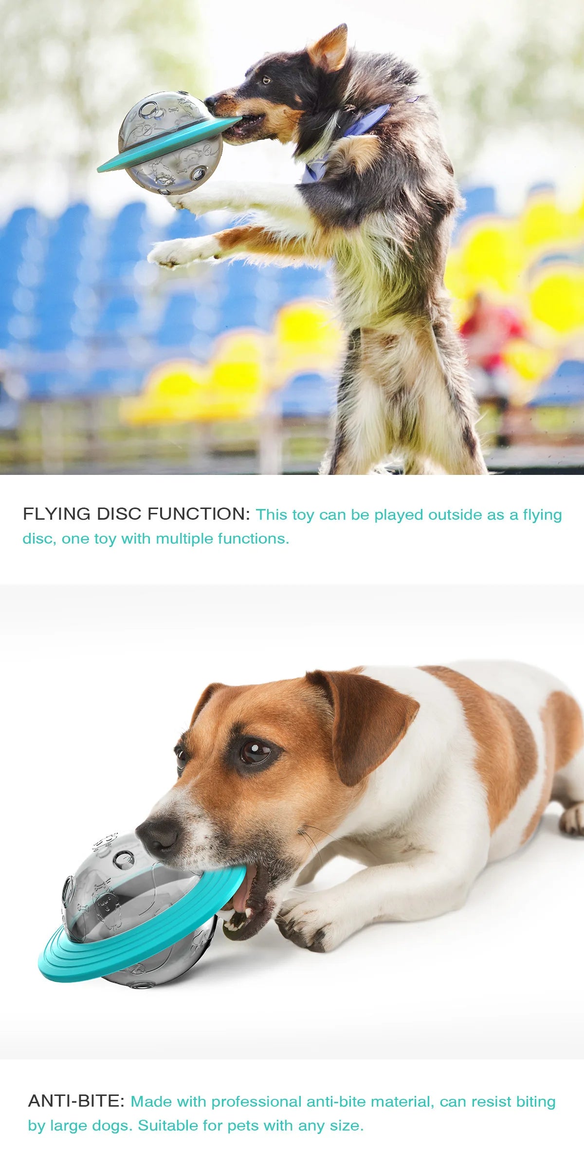 Chewable and wear-resistant dog toys educational dog supplies Frisbee flying disc and food dispenser