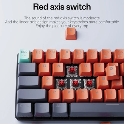MUCAI 61 key USB hot swappable wired e-sports mechanical keyboard LED backlit axis gaming mechanical keyboard desktop red axis