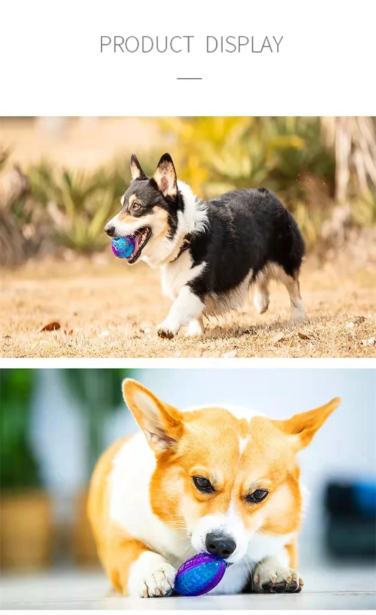 Pet Dog Puppy Squeaky Chew Toys Sound Pure Natural Non-toxic Rubber Outdoor Play Small medium Dogs Funny Ball for Dog Supplies