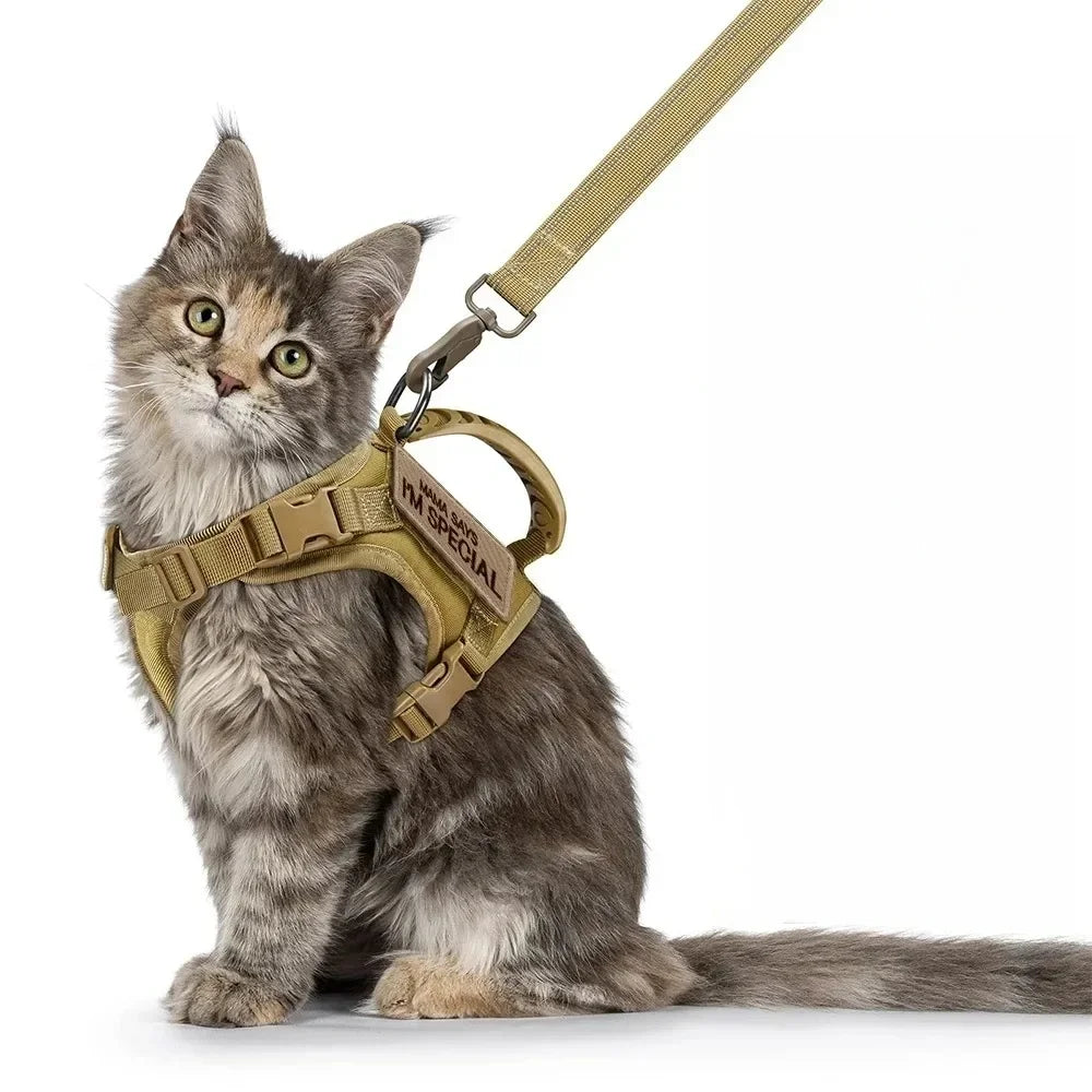 Tactical Cat Harness and Leash Set for Walking Escape Proof Adjustable Cat Vest Harness with Soft Mesh Padding Rubber Handle