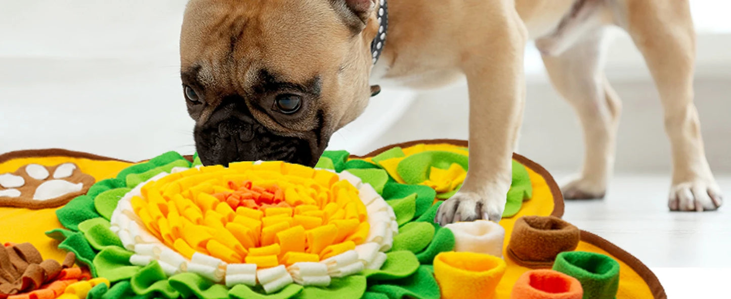 Snuffle Mat for Dogs, Pet Snuffle Mat for Small and Medium Dogs, Interactive Sniff Mat Feeding Mat for Puppies, Slow Feeder