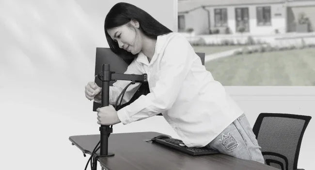 TwinFlex Monitor Arm