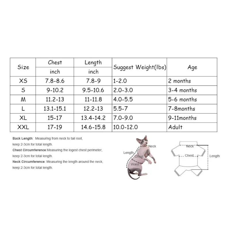 Camouflage Winter Coat for Sphynx Cats 🐱❄️