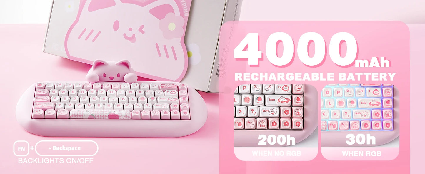 CatAura RGB Keyboard