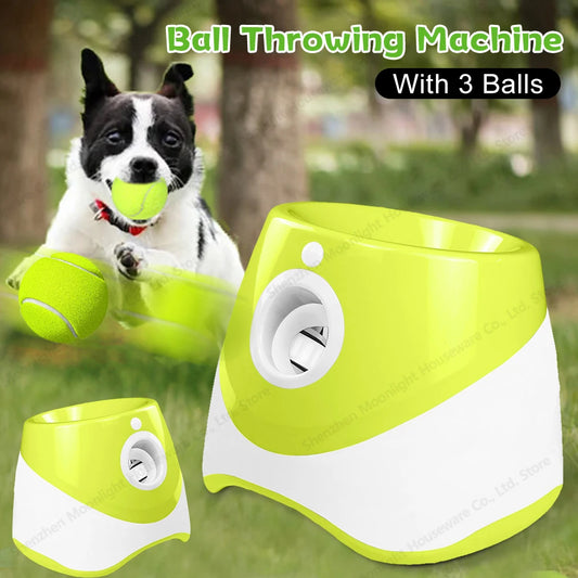 Automatic Dog Ball Launcher.