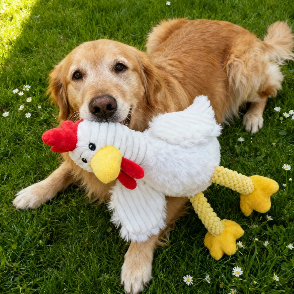Pet Bite-Resistant Plush Interactive Toy with Sound, Cartoon Rooster Design, Suitable for Large, Medium, and Small Pets Such as Cats and Dogs, Double-Layer Fabric, Built-In Airbag