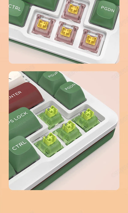 Outemu Silent Peach Switches.