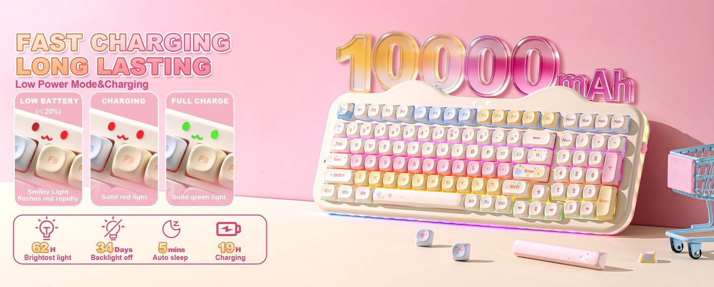 YUNZII C98 Wireless Mechanical Keyboard, 99-Key Hot Swap Gasket Keyboard with Numpad, Custom RGB Backlight,Cute Keeb for Win/Mac
