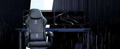 Dowinx Ergonomic Gaming Chair