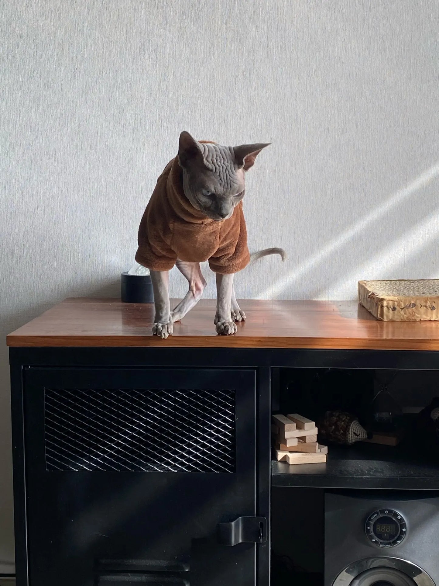 Sphynx Cat Sweater Hoodie 🐾