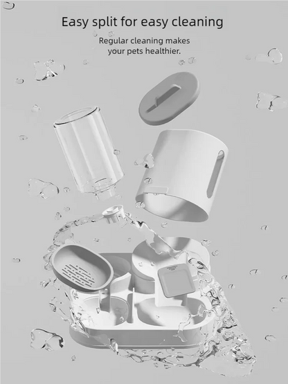 2-in-1 Cat Food & Water Bowl 🐱💧🍽️