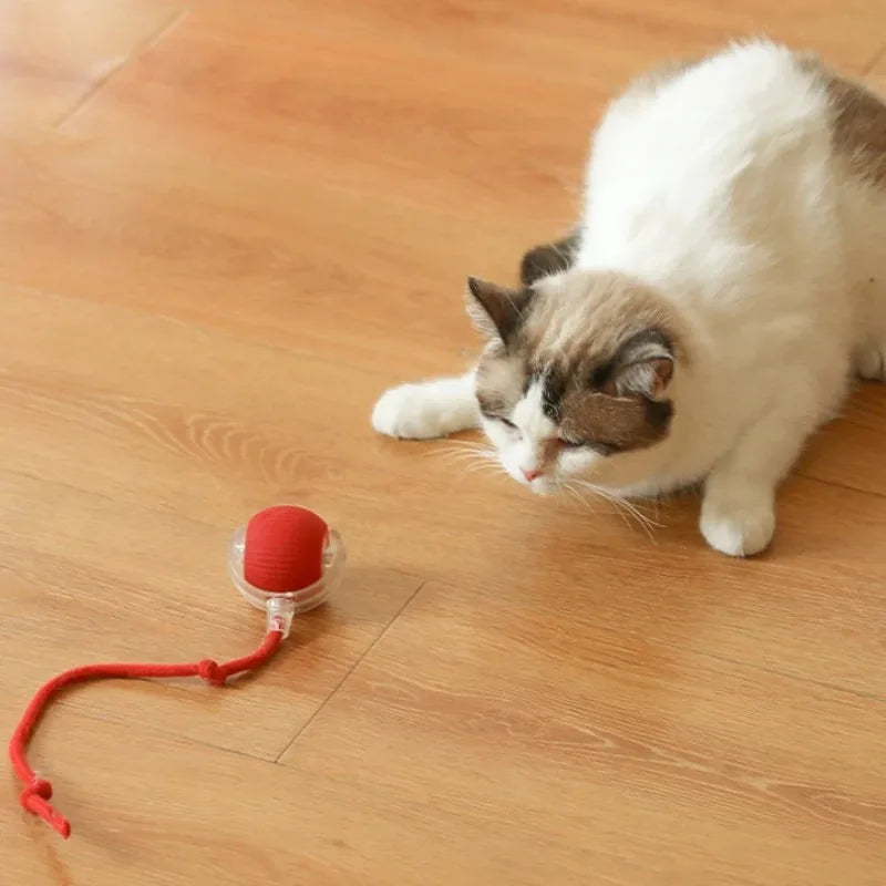 Pet Smart Interactive Ball Rechargeable Cat Ball Smart Kitten Dog Interaction Toy Intelligent Toy Ball Automatic Rolling Cat Toy