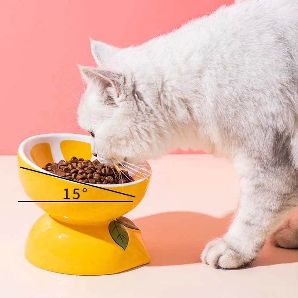 Cute Fruit Shape Cat Bowl High Quality Ceramics Cat Bowl Pet Supplies Cat Food And Water Feeder Pet Accessories
