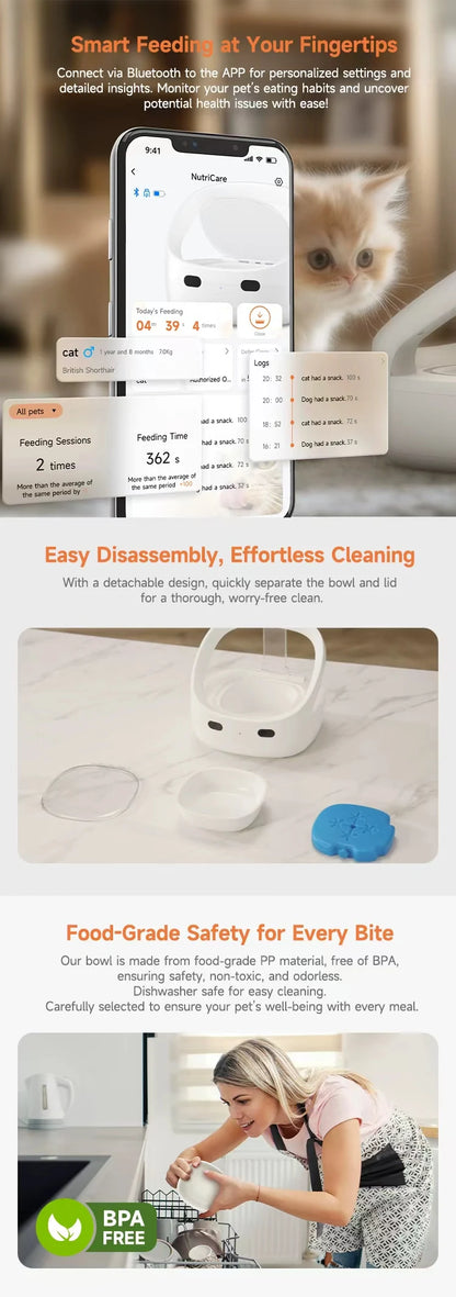 RFID collar activates cat feeder, multi cat intelligent automatic chip feeder, supports wet and dry food,prevents pinch injuries