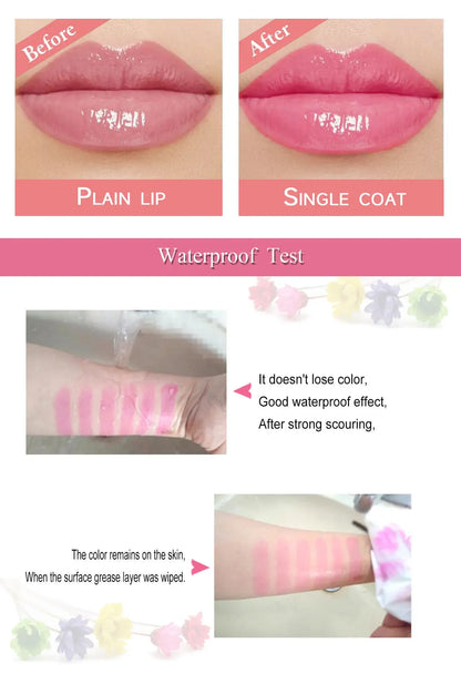 6pcs Make Up Lipstick Set Dry Flower Jelly Crystal Clear Long Lasting Moisturizing Lips Color Change Pink Lip Gloss Cosmetics