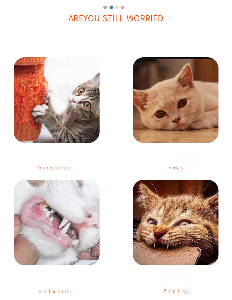 Interactive Feather Cat Teaser Wand