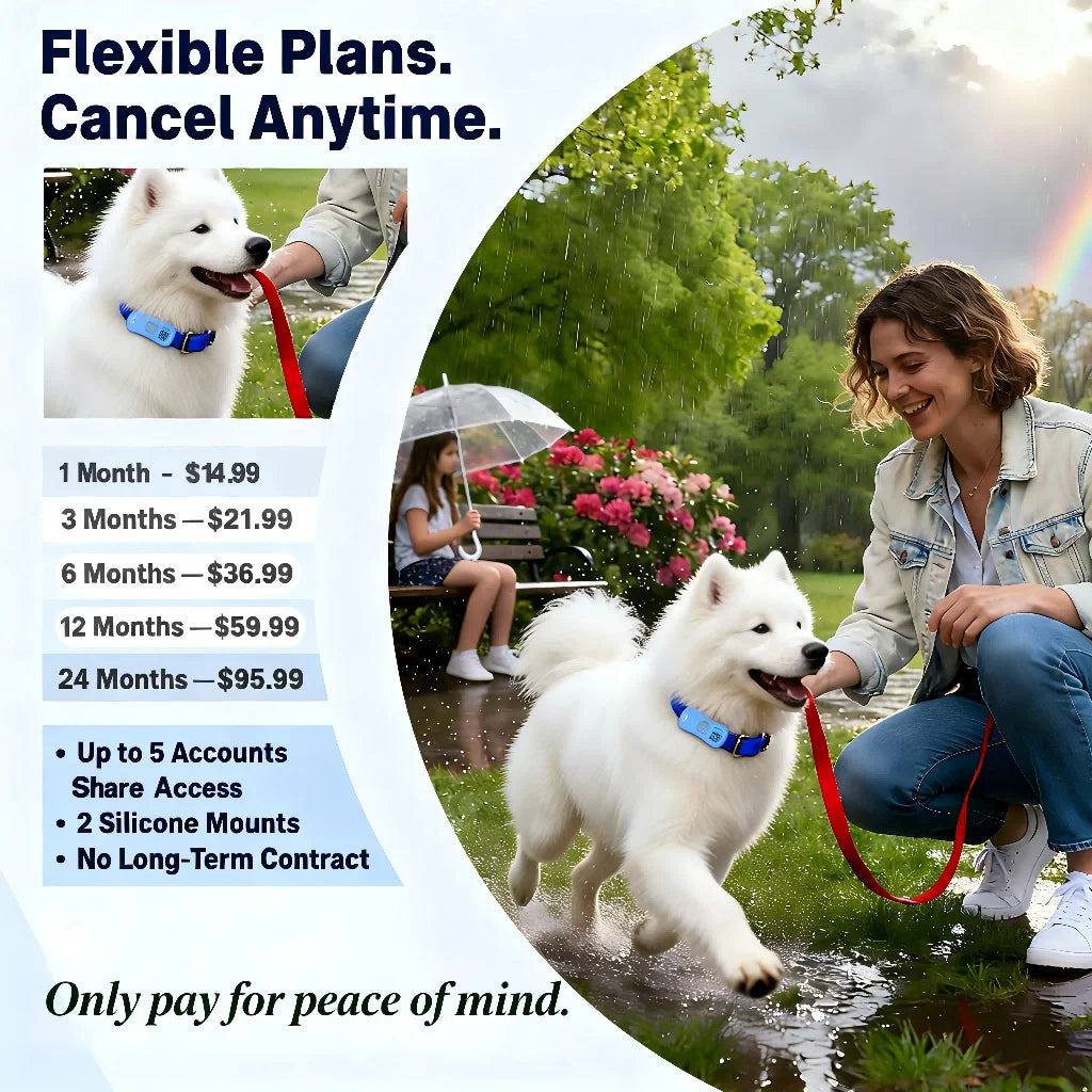 Real-Time Pet GPS Tracker