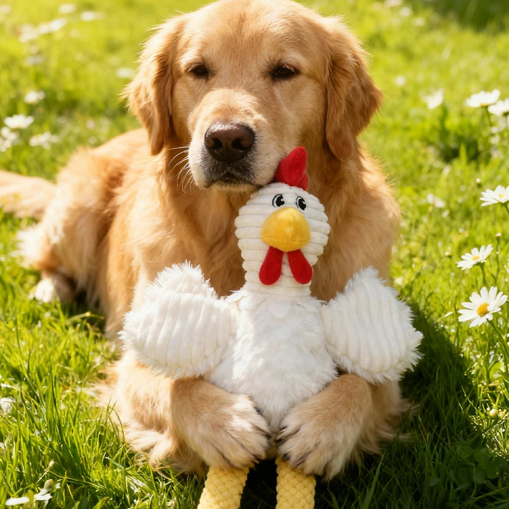Pet Bite-Resistant Plush Interactive Toy with Sound, Cartoon Rooster Design, Suitable for Large, Medium, and Small Pets Such as Cats and Dogs, Double-Layer Fabric, Built-In Airbag