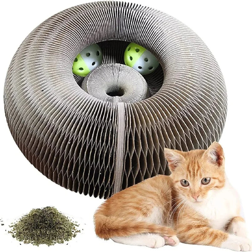 Kitten Curl Toy Foldable Magic Organ Cat Scratching Board Durable Recyclable Cardboard Cat Scratcher Cat Bed Interactive Scratch