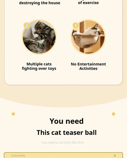 Electric Cat Ball Toy.