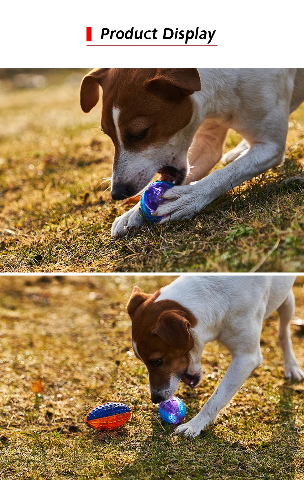 Pet Dog Puppy Squeaky Chew Toys Sound Pure Natural Non-toxic Rubber Outdoor Play Small medium Dogs Funny Ball for Dog Supplies