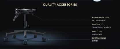 Dowinx Ergonomic Gaming Chair