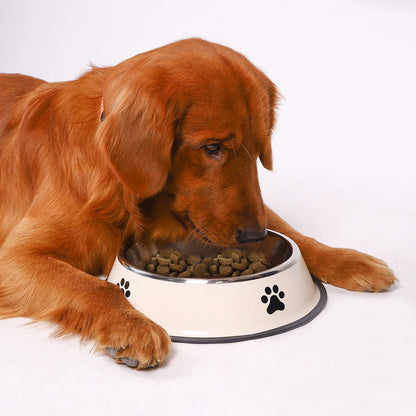 Anti-Slip Stainless Steel Pet Bowl