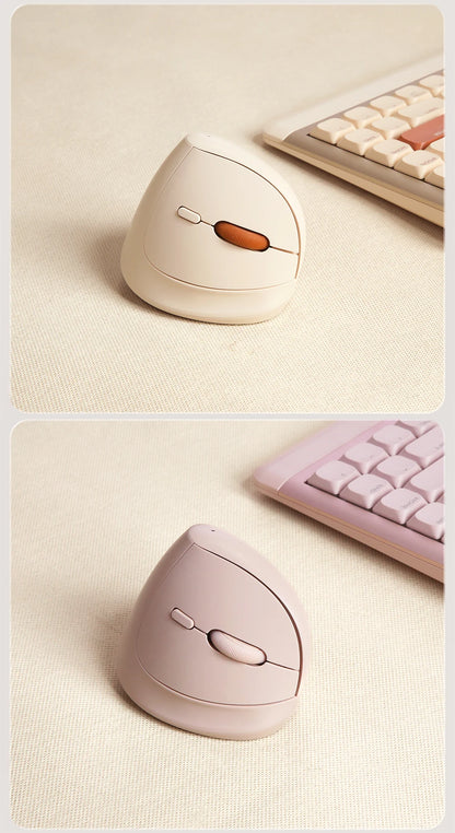 DAREU Mini Ergonomic Vertical Mouse 2.4G USB Bluetooth Wireless Optical Mice 3 Adjustable DPI 1000,1600,2400 for Small Hands