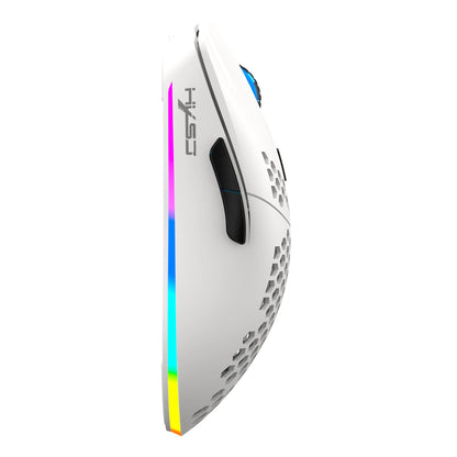 HXSJ T66 3-mode 10000DPI gaming wireless mouse RGB luminous 650mAh rechargeable 6 buttons macro programmable mice for pc desktop