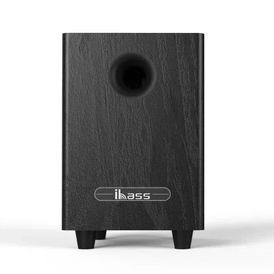 100W High Power 6.5″ Passive Subwoofer Speaker System