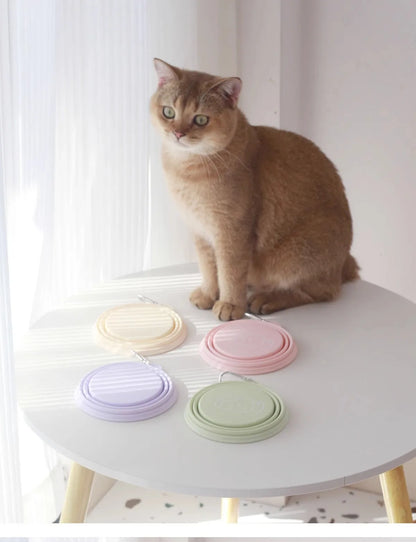 Portable Folding Pet Travel Bowl