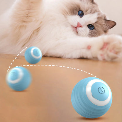 Automatic Rolling Cat Toy.