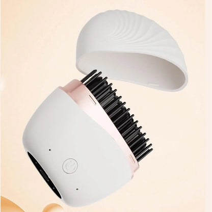 Portable Hair Straightener.