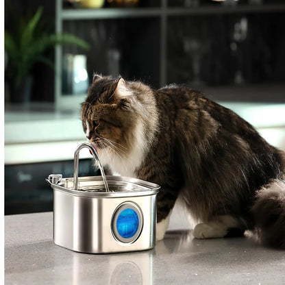 Stainless Steel Automatic Cat Water Fountain 2.2L 🐱💧