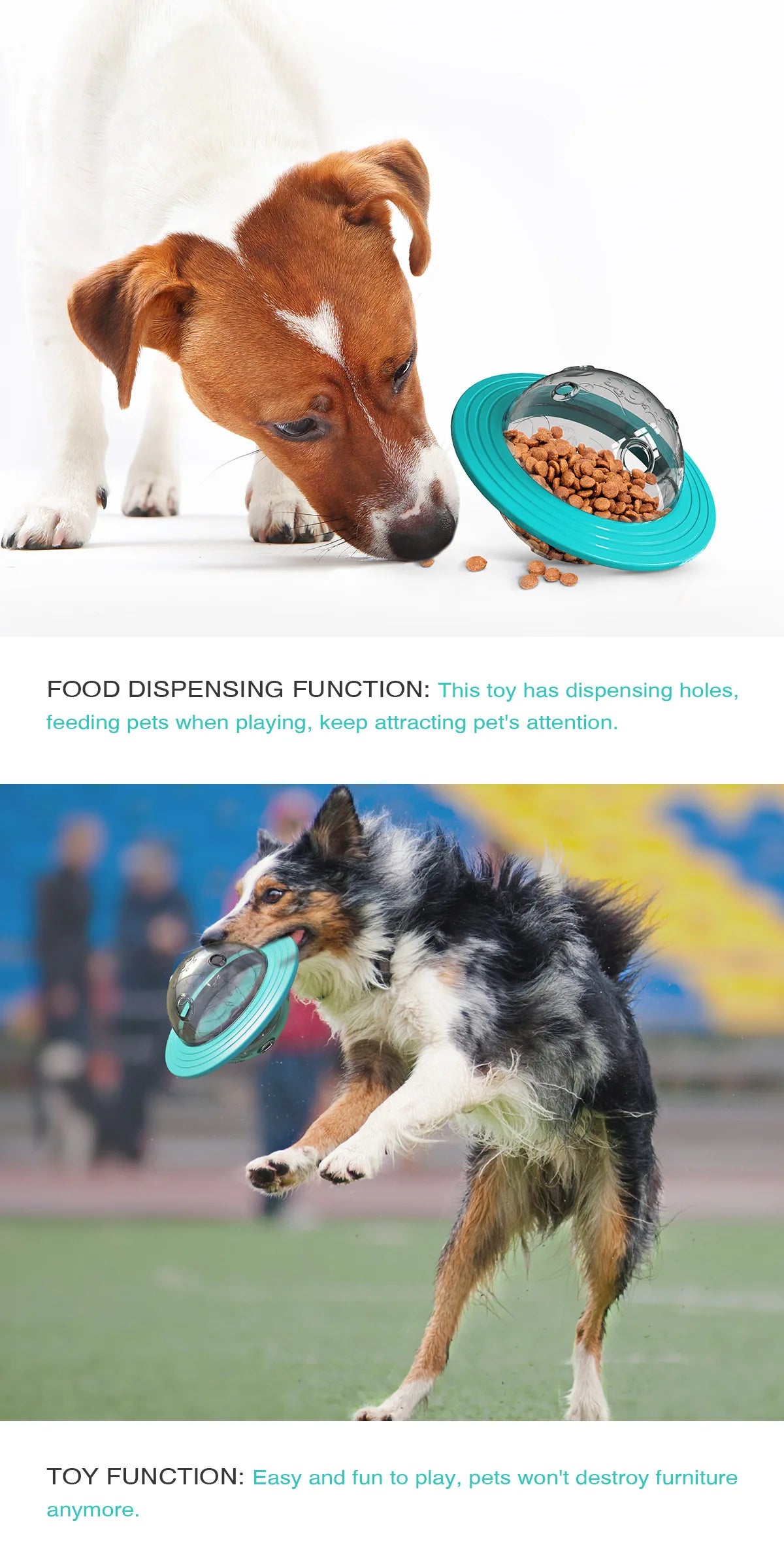 Chewable and wear-resistant dog toys educational dog supplies Frisbee flying disc and food dispenser