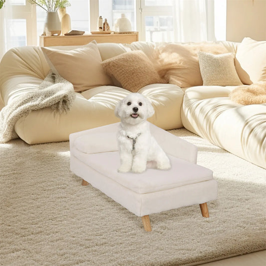 Luxury Elevated Pet Sofa Bed 🐾✨