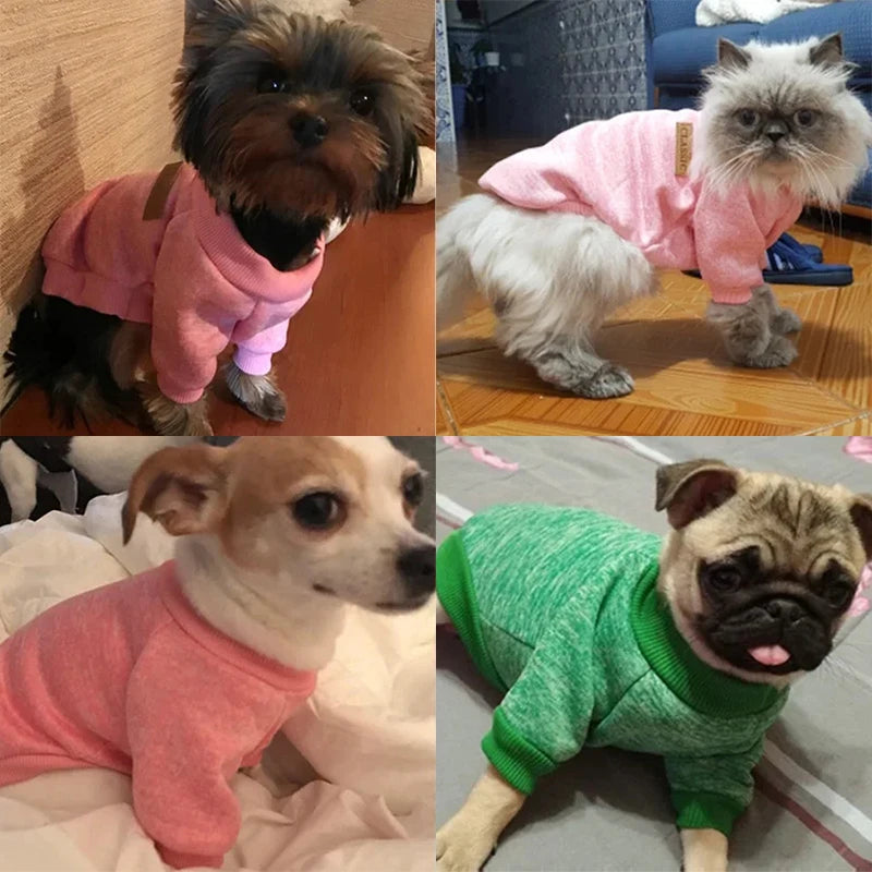 Pet Sweater Coat for Cats & Small Dogs 🐱🐶