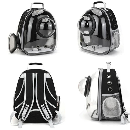 Transparent Space Pet Backpack